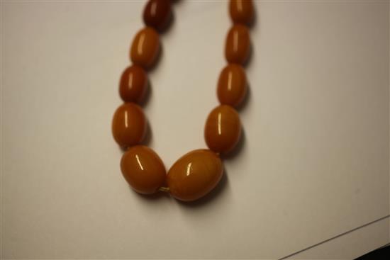 A single strand graduated amber bead necklace, 16in.